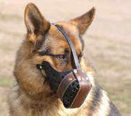 Leather Dog Muzzle "Dondi plus" for German Shepherd - Click Image to Close